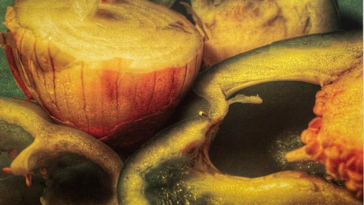 NY25 ART COMPETITION