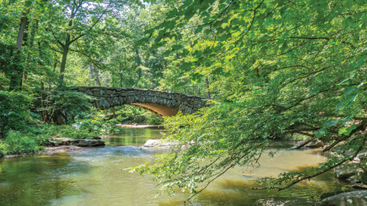 Rock Creek Park