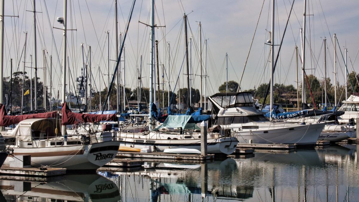 Boats docked at a marina