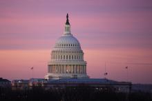 The United States capitol dome at dawn