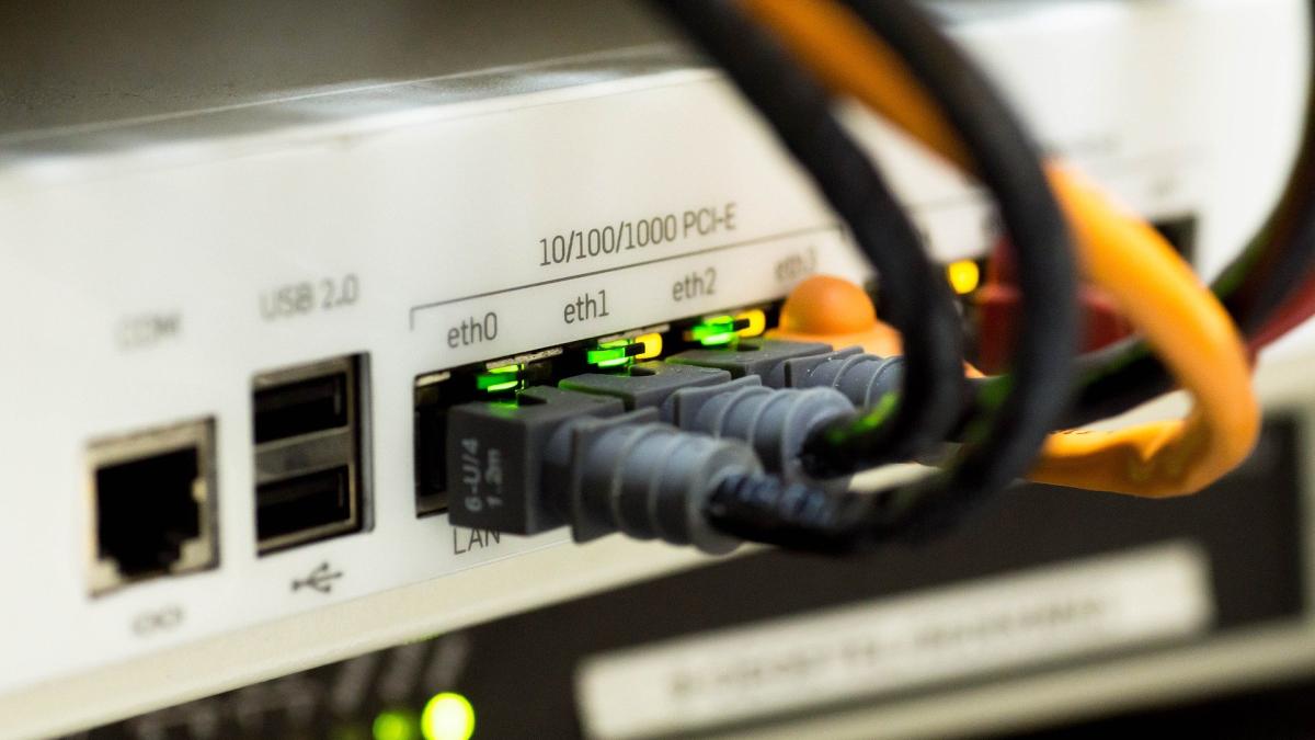 Ethernet cables plugged into a router