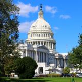 Capitol and trees