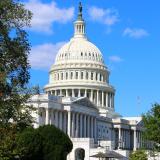 Tree-lined side of the Capitol building