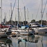 Boats docked at a marina