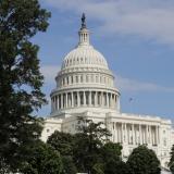 U.S. Capitol dome