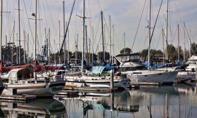 Boats docked at a marina