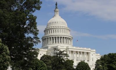 U.S. Capitol dome